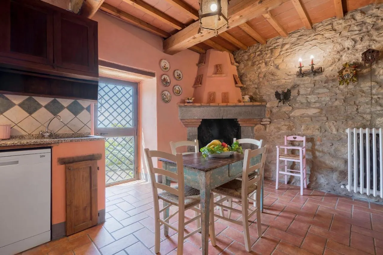 Farm stay Colle Degli Ulivi - Pool, Nature, Relax Holiday Home Cortona, Italia