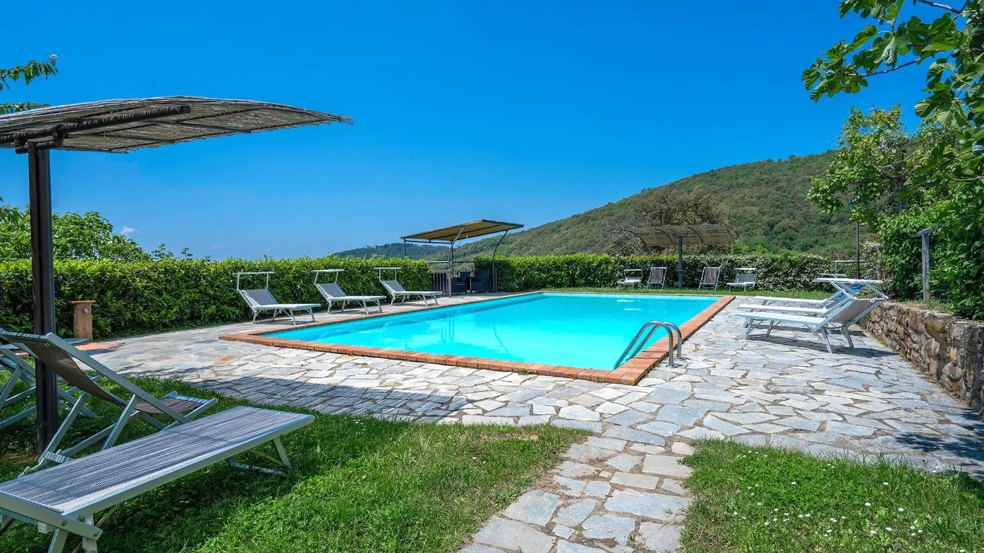 Colle Degli Ulivi - Pool, Nature, Relax Holiday Home Cortona, Italia Farm stay Cortona
